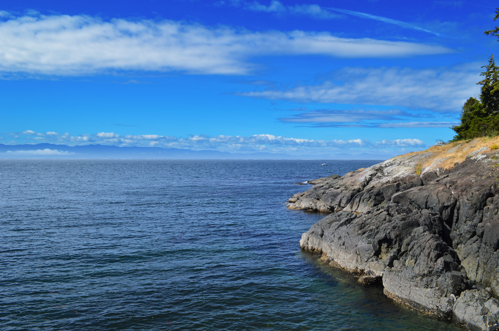 Otter Point House Island Vacation Homes